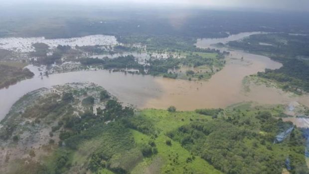 Ribuan Hektar Sawah Terendam Banjir, Petani di Kuansing Gagal Panen