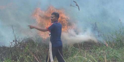 Titik Panas Bermunculan, Polda Riau Ingatkan Pembakar Lahan Diancam 10 Tahun Penjara