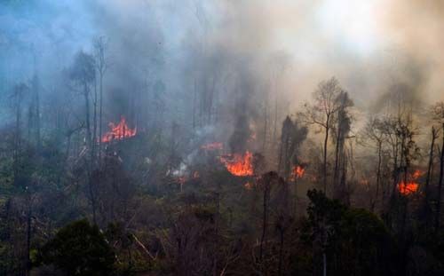 Hutan Lindung Bukitbetabuh di Kuansing Terbakar