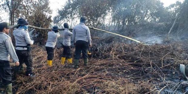 Gara-gara Puntung Rokok, Tiga Hektar Lahan di Dumai Ludes Terbakar