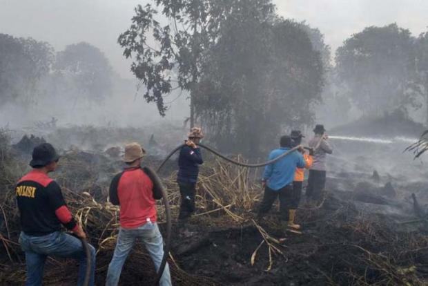 Kebakaran Lahan Gambut di Desa Kualapanduk Pelalawan, Permukiman Warga Diselimuti Asap Tipis