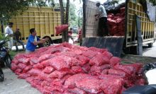 diangkut-dari-dumai-menggunakan-truk-berpelat-sumbar-65-ton-bawang-selundupan-asal-malaysia
