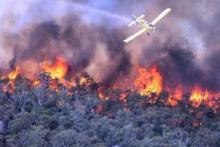 kurun-waktu-januariapril-2018-sudah-1647-hektar-lahan-di-riau-terbakar