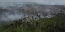 tahun-ini-besarkah-potensi-kebakaran-hutan-dan-lahan-di-indonesia