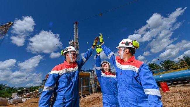 <b>Pertamina Hulu Rokan Targetkan Mengebor 10 Sumur Eksplorasi pada 2027-2028</b>