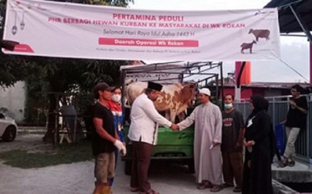 Keluarga Besar PHR WK Rokan Salurkan 216 Hewan Kurban di 7 Kabupaten/Kota di Riau