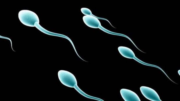 Hasil Studi: Makin Sering Sperma Keluar, Maka Makin Baik buat Kesehatan