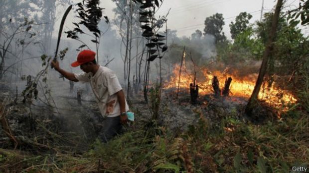 Polri Tetapkan 72 Tersangka Bakar Lahan, Kasus Terbanyak Ada di Riau
