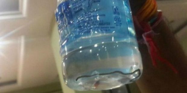Hiiii... Ular Ditemukan dalam Botol Air Kemasan