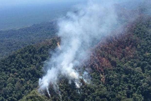Hutan Lindung Bukitsuligi di Perbatasan Rokan Hulu dan Kampar Dibakar Perambah