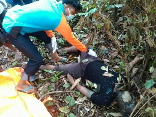 Pergi Cari Kayu Cerocok, Warga Dusun I Desa Talang Jerinjing Inhu Ditemukan Membusuk di Semak Belukar