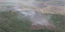 patroli-udara-tni-au-temukan-taman-nasional-tesso-nilo-di-pelalawan-dibakar