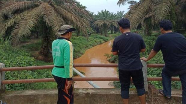 Meski Sudah Diprotes Warga karena Diduga Cemari Sungai, PT Ronatama Masih Tetap Lakukan Operasi Pembersihan Lahan