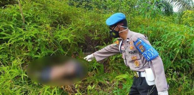 Mayat Wanita tanpa Kepala dan Kaki Ditemukan di Tepi Jalan Desa Dundangan Pelalawan