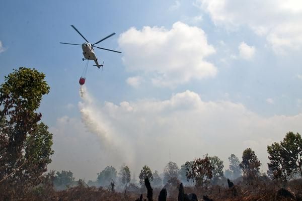 Tujuh Heli Dikerahkan untuk Padamkan Kebakaran Hutan Riau
