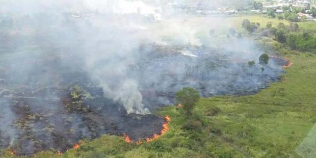 Api Belum Padam, Luas Kebakaran Hutan dan Lahan di Riau Capai 1.711 Hektar