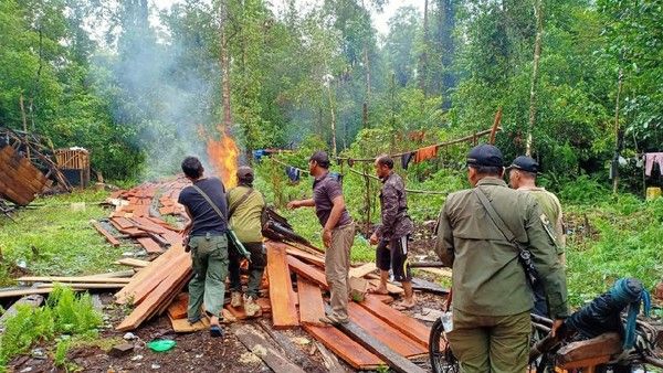 Sejumlah KTP Terbitan Lampung Ditemukan di Pondok Persembunyian Pembalak Liar di Kawasan Konservasi Giam Siakkecil