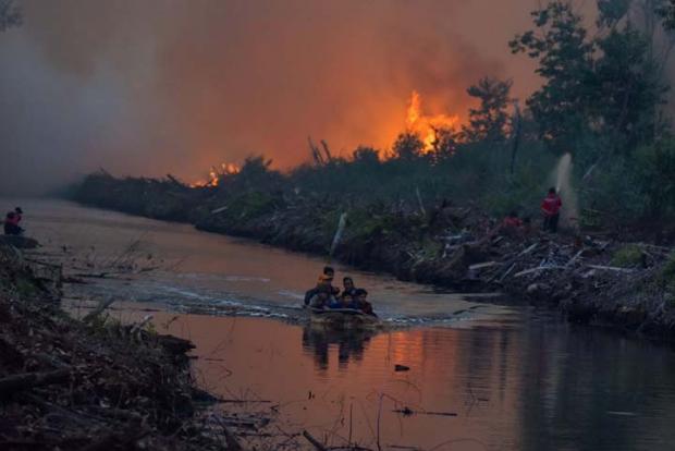 Titik Panas di Sumatra Melonjak Jadi 192, Riau Masih Pegang Rekor Terbanyak