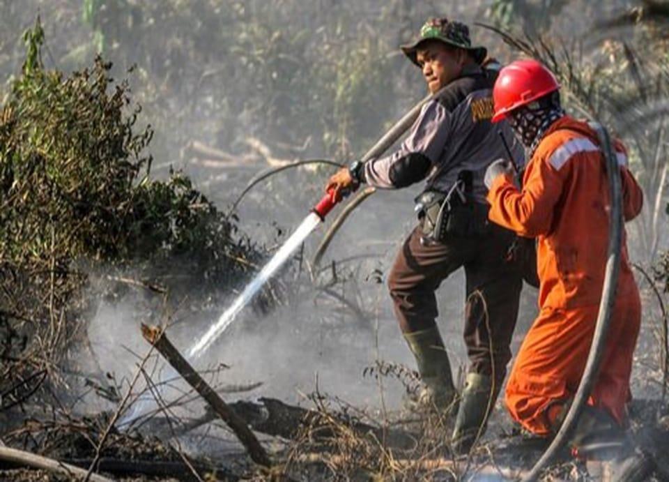 40 Hektare Lahan Gambut di Indragiri Hulu Terbakar hingga Meluas ke Kebun Sawit Warga, Satgas Karhuta Sudah 3 Hari Berjibaku Padamkan Api