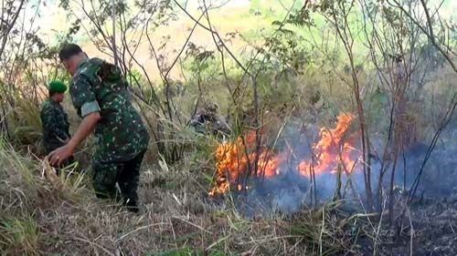 Operasi Pemadaman Api akibat Karhutla Berpotensi Bikin Sindikat Narkoba di Riau Merajalela Kuasai Jalur Laut