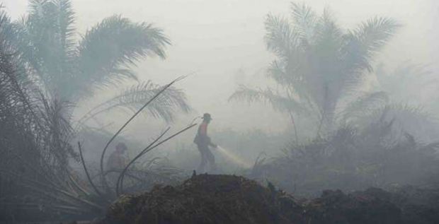 Polda Riau Telah Tetapkan 41 Tersangka Pembakar Lahan, di Dumai Paling Banyak