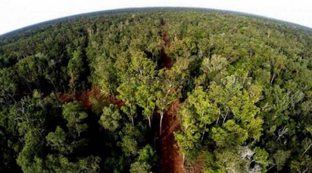 Kementerian LHK Sudah Proses Pelepasan Desa-desa di Riau yang Selama Ini Masuk Kawasan Hutan