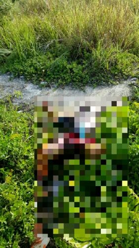 Warga Tampan Pekanbaru Geger, Pria tanpa Identitas Ditemukan Membusuk di Semak-semak Belakang Loket PO Handoyo
