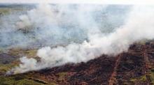 55-perusahaan-diberi-peringatan-lantaran-diduga-terlibat-dalam-kebakaran-hutan-dan-lahan