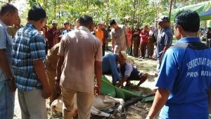 Rayakan Idul Adha 1437 H, Jemaah Mesjid Darul Abrar DPRD Riau Kurban 14 Ekor Sapi dan Kambing