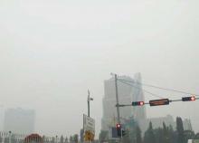 kualitas-udara-sudah-berbahaya-karena-asap-karhutla-satu-juta-warga-pekanbaru-terancam-ispa