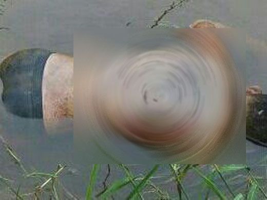 Mayat Remaja Laki-laki Ditemukan Mengambang di Sungai Kerinci Tak Jauh dari RSUD Selasih Pangkalankerinci