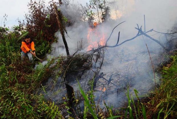 Lahan Terbakar di Desa Lukun Kepulauan Meranti Makin Luas hingga 150 Hektar