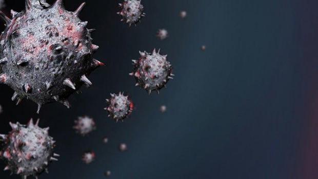 Riset Terbaru, Virus Corona Diduga Bisa Menempel di Penis dan Berpeluang Sebabkan Impotensi