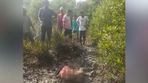 Mayat Berlumuran Darah di di Hutan Bakau Jalan Dorak Kepulauan Meranti Gegerkan Warga