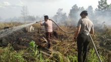 meski-berhasil-dikendalikan-dengan-cepat-danrem-akui-kecolongan-kebakaran-lahan-di-pekanbaru