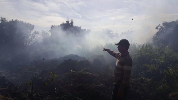 Lahan Kosong Dua Hektar ‎di Jalan Sidorukun Pekanbaru Terbakar, Diduga Ada Unsur Kesengajaan