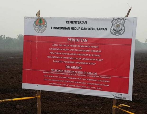 Lahan PT Adei Plantation Perusahaan Malaysia di Pelalawan Disegel Kementerian LHK Terkait Kasus Karhutla