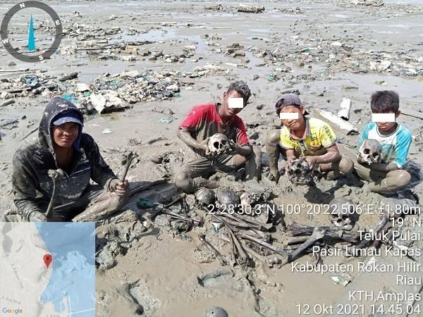 11 Tengkorak Manusia yang Ditemukan di Telukpulai Rokan Hilir Berawal saat Tanam Mangrove