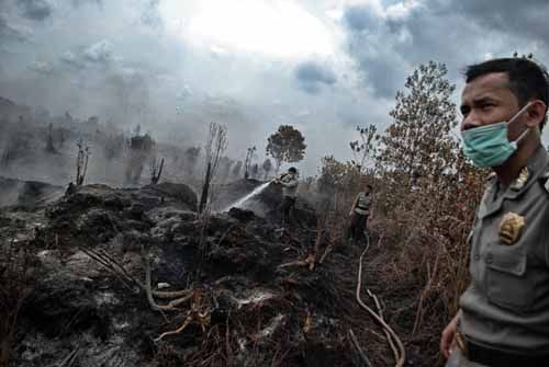 Kebakaran Lahan di Desa Segati Pelalawan Berhasil Diatasi