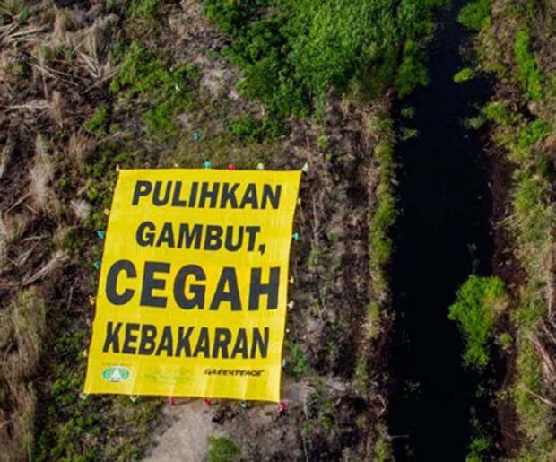 KLHK dan BRG Dinilai Gagal Perbaiki Kondisi Lahan Gambut Riau