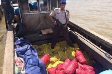 kapal-bermuatan-bawang-ilegal-asal-malaysia-ditangkap-di-perairan-bengkalis