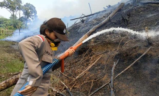 Diam-diam Tim Asistensi Polri Diterjunkan Tangani Kebakaran Hutan di Riau