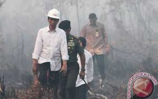 Jokowi Jangan Main-main, Anda Harus Pimpin Langsung Atasi Pembakaran Lahan di Riau!