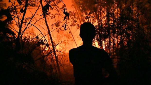 5.809 Personel Dikerahkan Padamkan Kebakaran Hutan dan Lahan di Riau