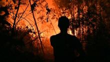 5809-personel-dikerahkan-padamkan-kebakaran-hutan-dan-lahan-di-riau