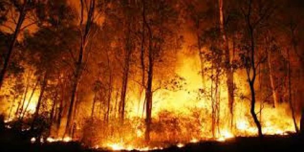 Waduh... Pagi Tadi, Jumlah Titik Api di Sumatera Kembali Melonjak Drastis