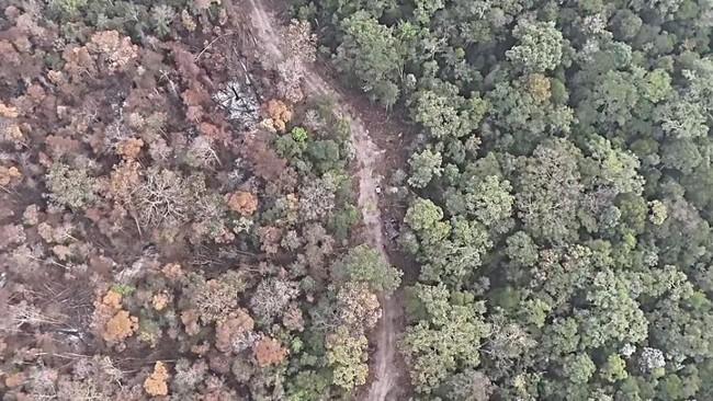 <b>Bantu Atasi Karhutla, Norwegia Gelontorkan Dana Hampir Rp4 Triliun</b>
