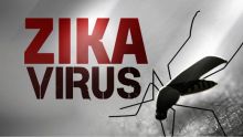 ini-alasannya-mengapa-riau-paling-rentan-terinfeksi-virus-zika
