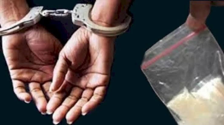 <b>Petugas Ditresnarkoba Polda Riau Kembali Berhasil Ungkap Peredaran Narkotika</b>