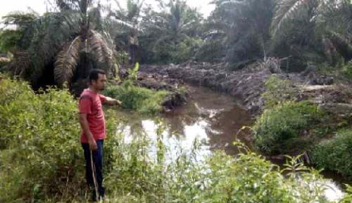 PT Adei Plantation and Industry Dituding Tak Serius Normalisasi Sungai Buluh di Kecamatan Bunut Pelalawan, Berikut Temuan Lapangan AMPKB